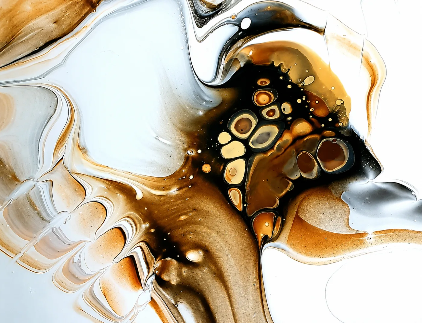Original fluid artwork by Paula Wild